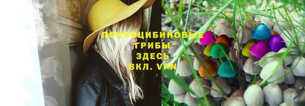прущая мука Верея